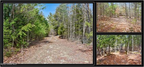 L11 Mountain Meadows Rd, Adirondack, NY, 12808 | Card Image