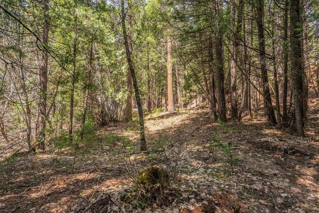 121,141 Mountain Aire Ln, House other with 2 bedrooms, 1 bathrooms and 15 parking in Trinity Center CA | Image 51