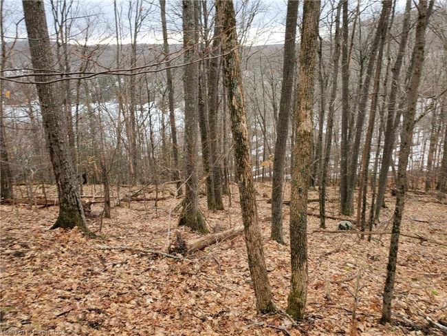 0 Echo Road, Home with 0 bedrooms, 0 bathrooms and null parking in Dwight ON | Image 5