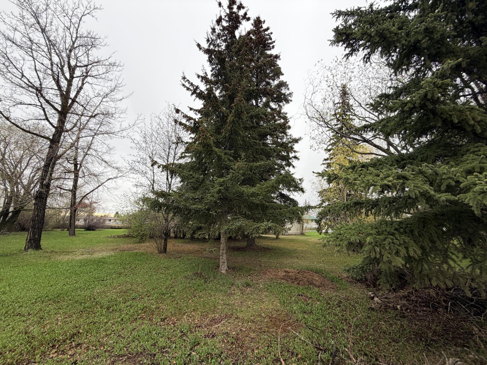 Commercial Sale in Rural Westlock County 5