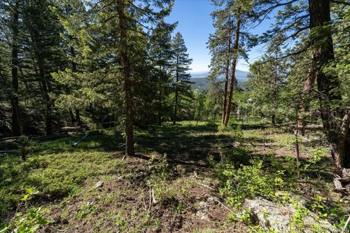11698 Nichols Way, Conifer, CO, 80433-7521 | Card Image
