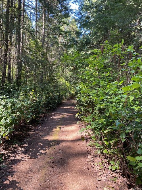 36 Ruxton Island, Ruxton Island, BC, V0V0V0 | Card Image