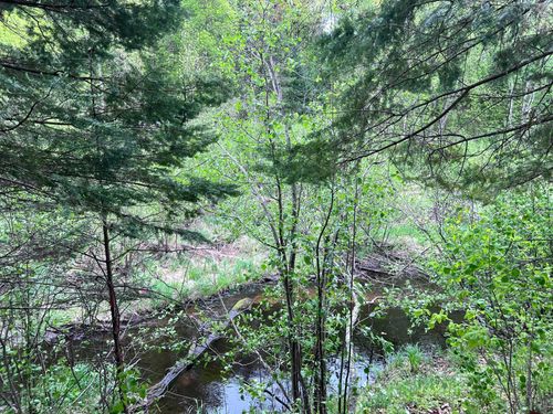 9 Yellow Birch Lane, Emily, MN, 56447 | Card Image