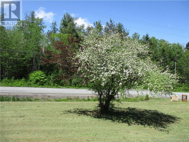 2 Daigle St, House other with 3 bedrooms, 1 bathrooms and null parking in Lower Greenwich NB | Image 23