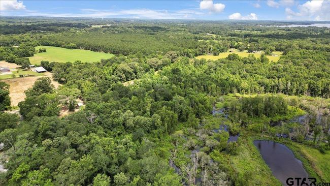 14325 County Road 2141, Home with 3 bedrooms, 2 bathrooms and null parking in Troup TX | Image 39