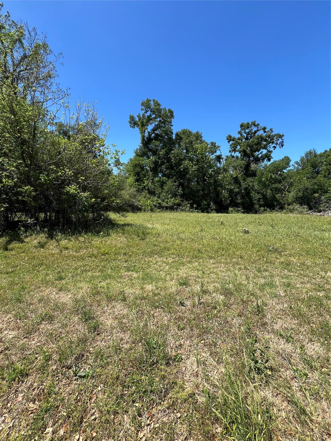 Land in Angleton 3