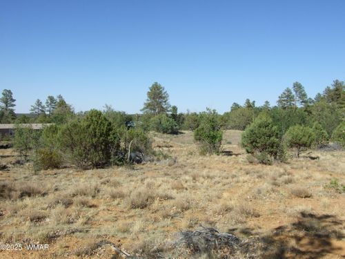 Parcel A Lamb Dr, Pinedale, AZ, 85934 | Card Image