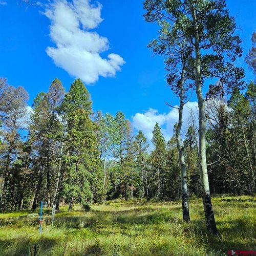 282 Aspen Trl, Cimarron, CO, 81220-9501 | Card Image