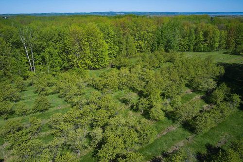 Parcel G Three Mile Road, East Bay Township, MI, 49696 | Card Image