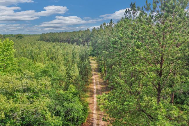 DJI_0682 | Image 21