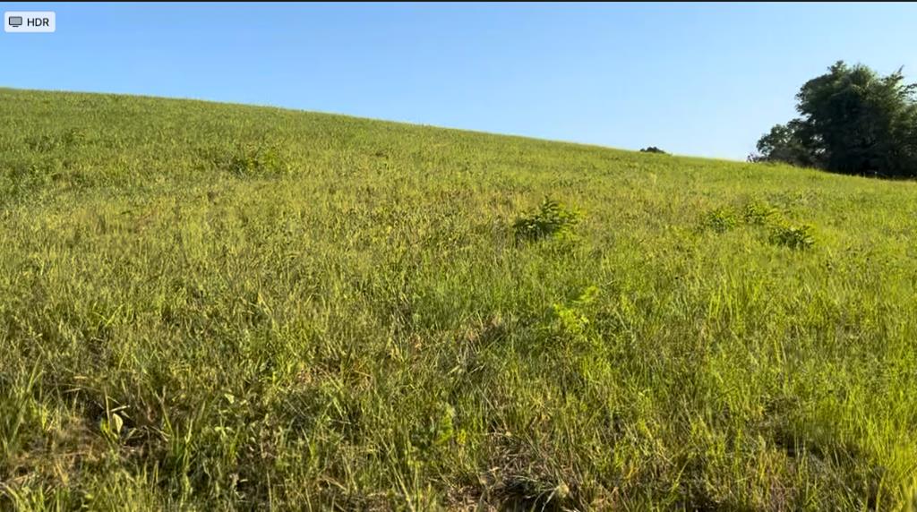 Land in Byrdstown