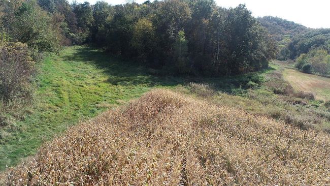 5.jpg | Image 4