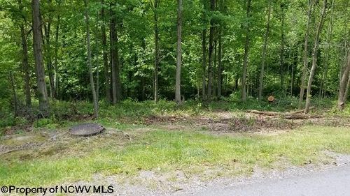 209 Woodside Ln, Bridgeport, WV, 26330-9250 | Card Image