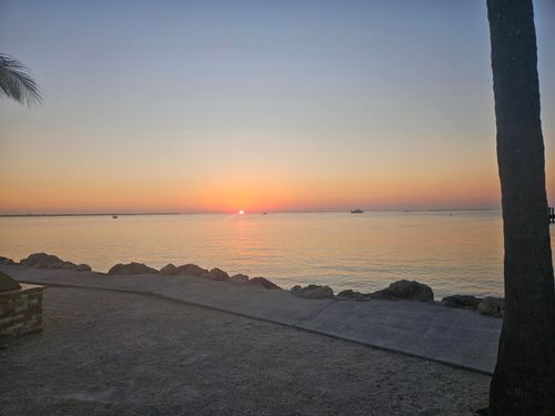 apt-605-88540 Overseas Hwy, Tavernier, FL, 33070-2062 | Card Image