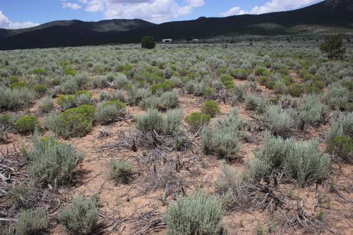 Lot D Shirley Dr, Questa, NM, 87556 | Card Image