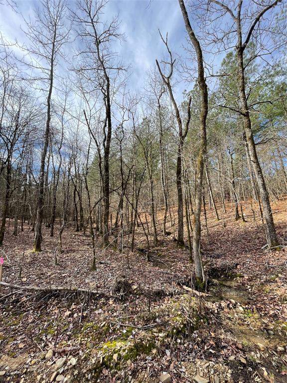 Land in Broken Bow 4