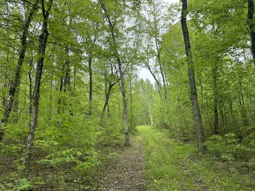 1 Poplar Ridge Rd, Chapmansboro, TN, 37035 | Card Image
