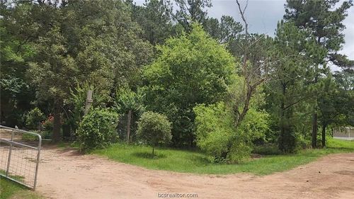 Lot 14 Basswood, Plantersville, TX, 77363 | Card Image