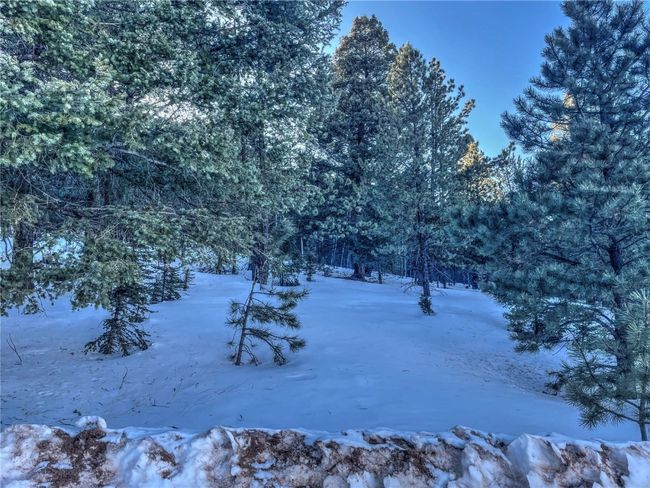 1174 Monarch Dr, Home with 0 bedrooms, 0 bathrooms and null parking in Cripple Creek CO | Image 6