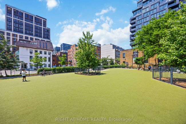 209 - 23 Brant St, Condo with 2 bedrooms, 1 bathrooms and 1 parking in Toronto ON | Image 20