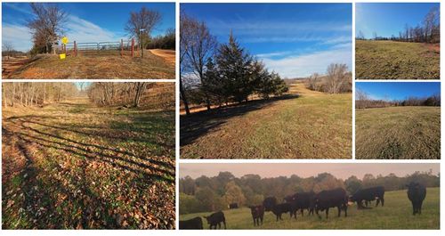40 Low Gap Road, Noel, MO, 64854 | Card Image