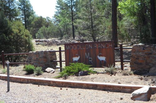 119-7856 Manzanita Ct, Happy Jack, AZ, 86024 | Card Image