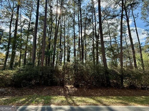 0 N Columbia Avenue, Rincon, GA, 31326 | Card Image