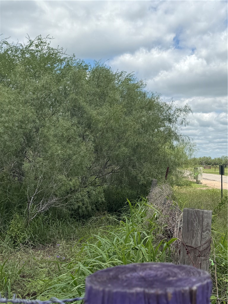 Farm in Alice 5