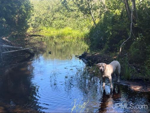 94 +/- Acres Peter White Road, Deerton, MI, 49822 | Card Image