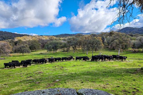  Drive Creek Drive, Badger, CA, 93603 | Card Image