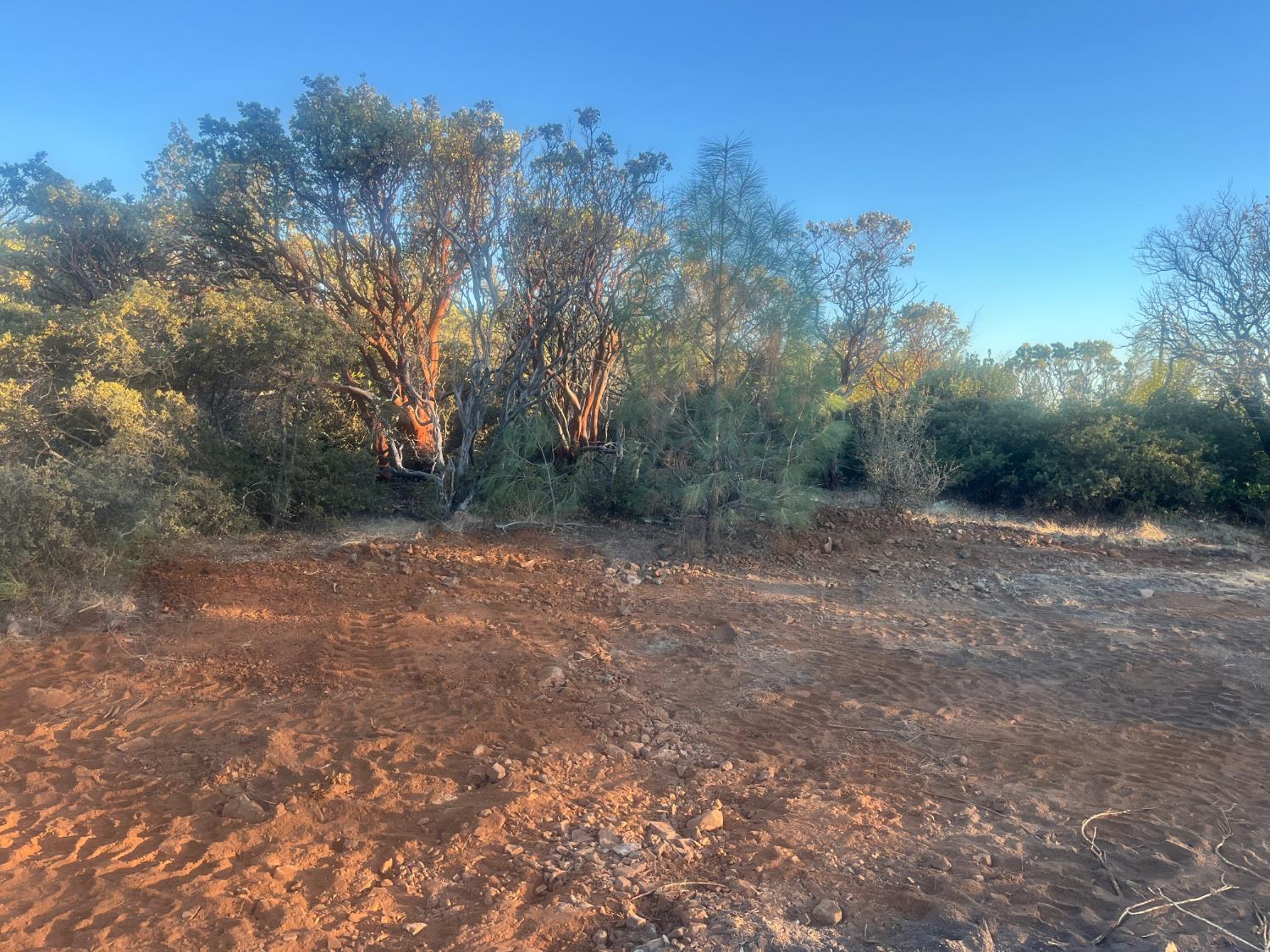 Land in Georgetown 3