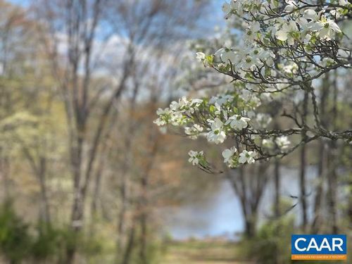 3-3 Langdon Dr, DYKE, VA, 22935 | Card Image