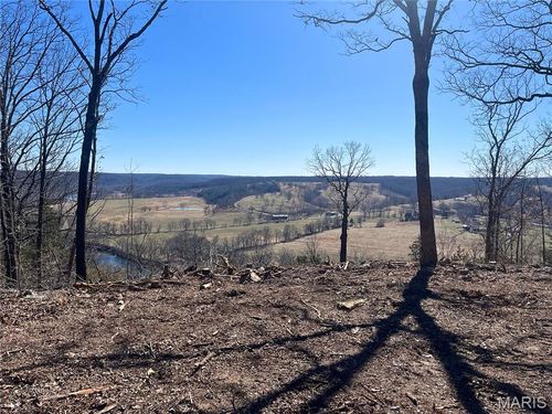 0 Lot C Highway Pp, Dixon, MO, 65459 | Card Image