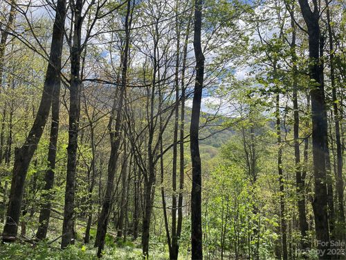 lot-b-000 Peregrine Ln, Bakersville, NC, 28705 | Card Image