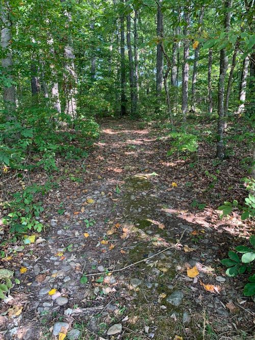 000 Glendale Rd, Bybee, TN, 37713 | Card Image