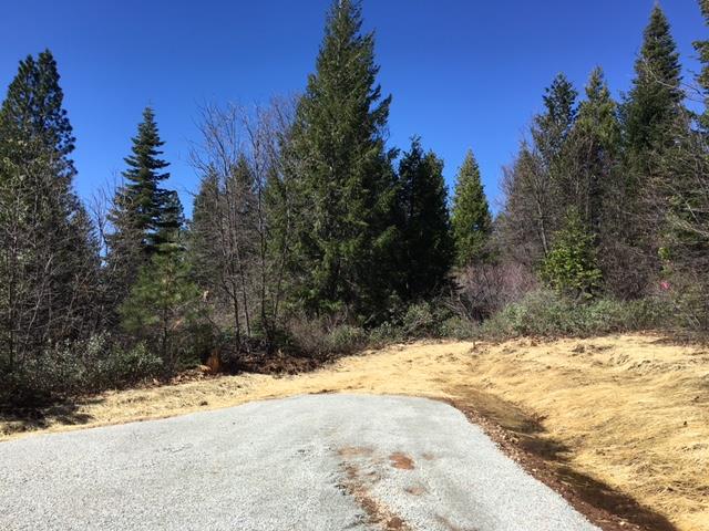 Land in Nevada City 4