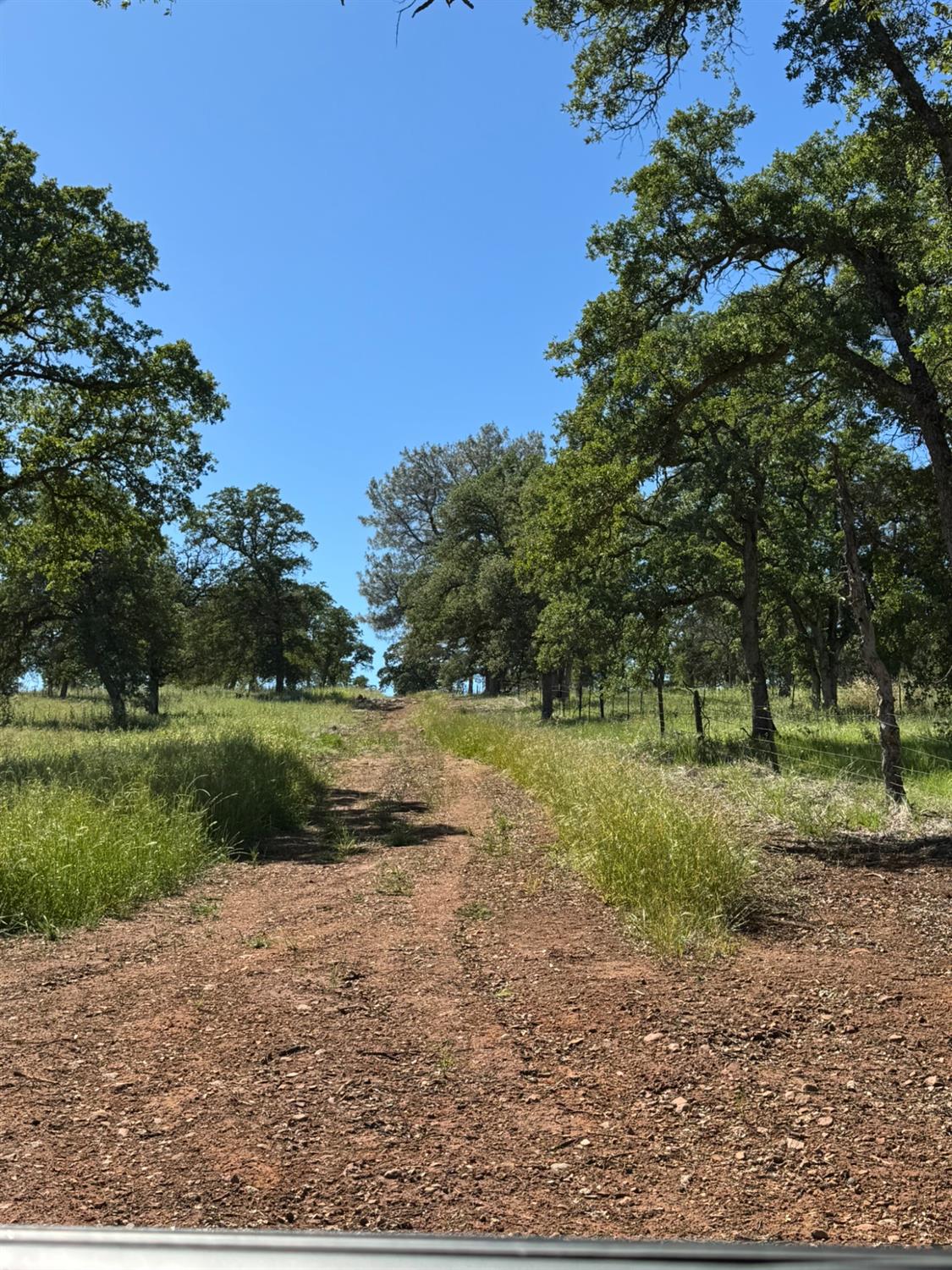Land in Browns Valley 2