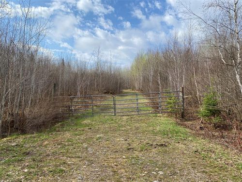 ON Wilson Lake Road, ELK, WI, 54555 | Card Image