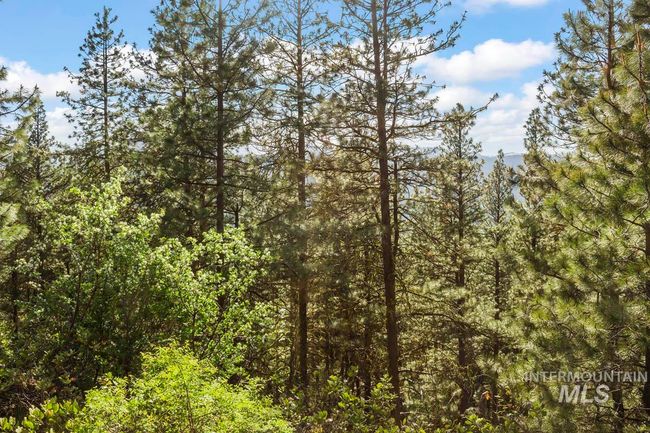 470 Collier View Rd, Home with 0 bedrooms, 0 bathrooms and null parking in Cascade ID | Image 7
