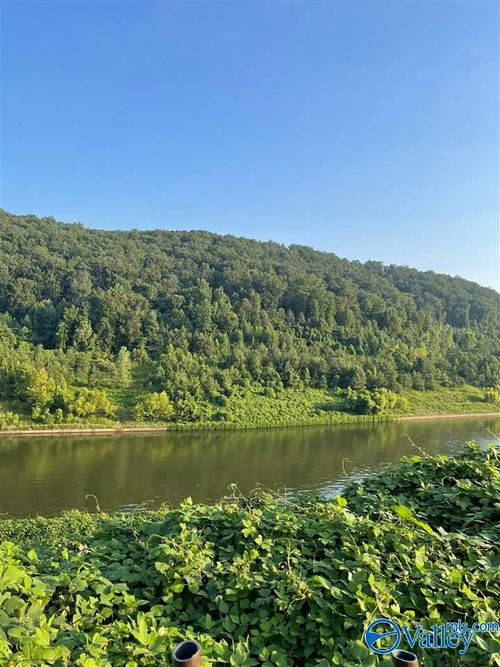 lot142 Colonial Dr, Guntersville, AL, 35976 | Card Image