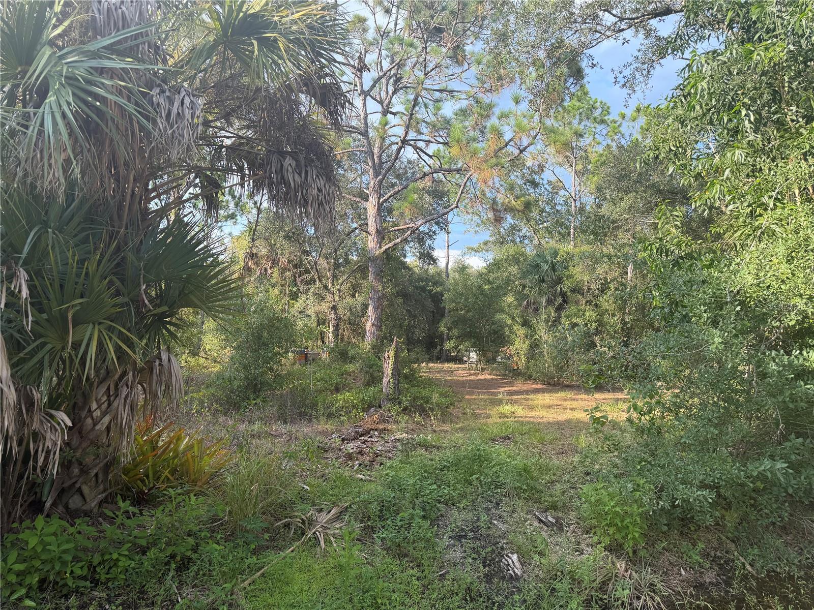 Land in PUNTA GORDA 4