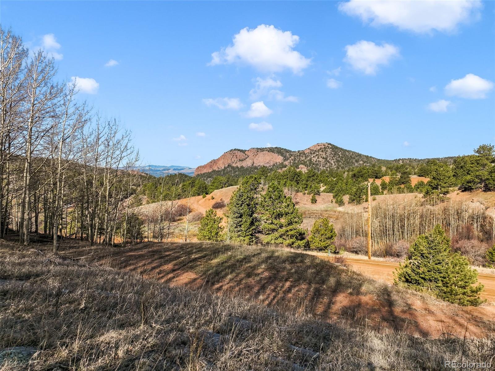 Land in Cripple Creek 4