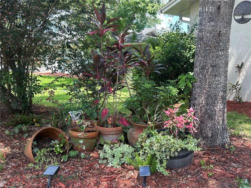 604 Water Oak Ln, LONGWOOD, FL, 32779-2539 | Card Image