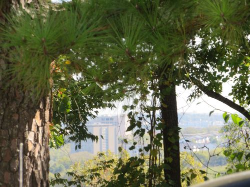 2306 Alpine Ave, Nashville, TN, 37218-2710 | Card Image