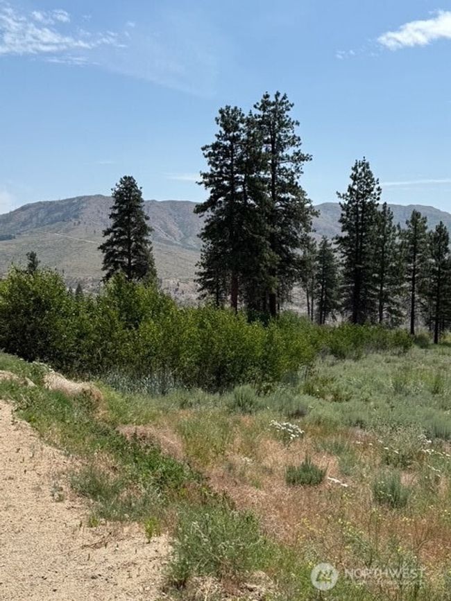 3 Ruttin Ridge Rd, Home with 0 bedrooms, 0 bathrooms and null parking in Methow WA | Image 28
