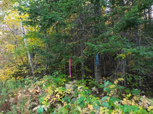 Lot 1-2 West Tucker Ridge Road, Springfield, ME, 04487 | Card Image