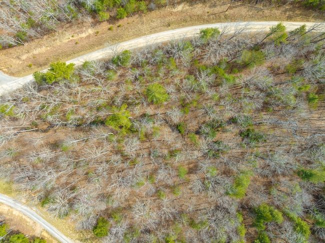 Lot12/14 Lake Forest Lane, Home with 0 bedrooms, 0 bathrooms and null parking in Bland VA | Image 18