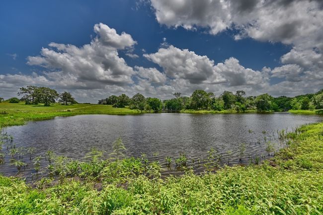 Water view | Image 18