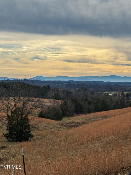 1255 Carpenters Chapel Rd, Mosheim, TN, 37818-2952 | Card Image