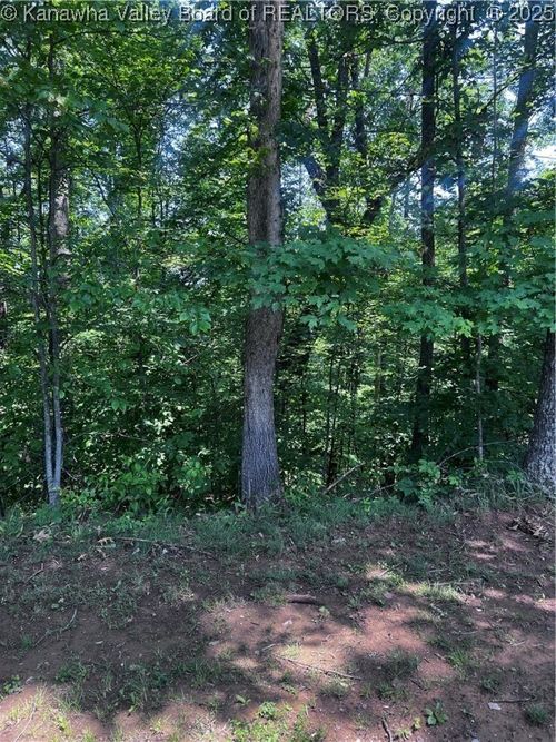 24 Jericho Rd, Ona, WV, 25545-9501 | Card Image